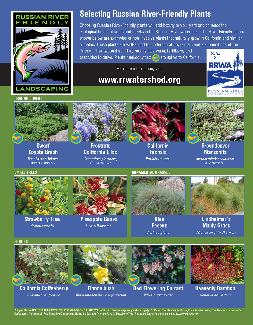 russian-river-friendly-landscaping-russian-river-watershed-association