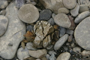 pile of river rocks
