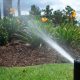 Irrigation system squirting water to yellow flower
